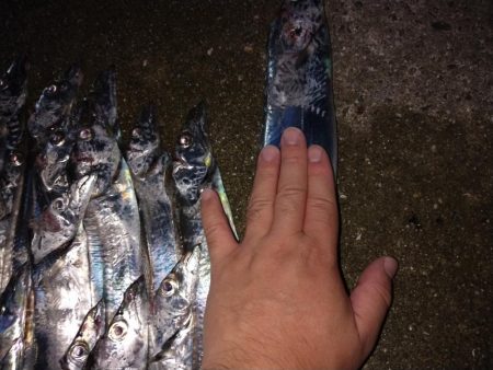 小さいけど爆釣